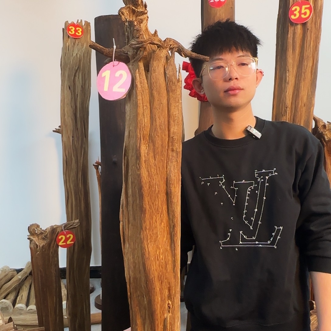 沉香摆件天然沉香原木摆件➕底座