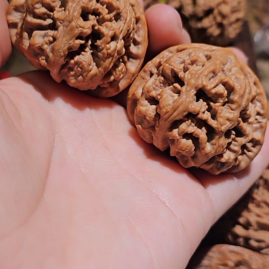 三***8文玩核桃吊坠45粗筋