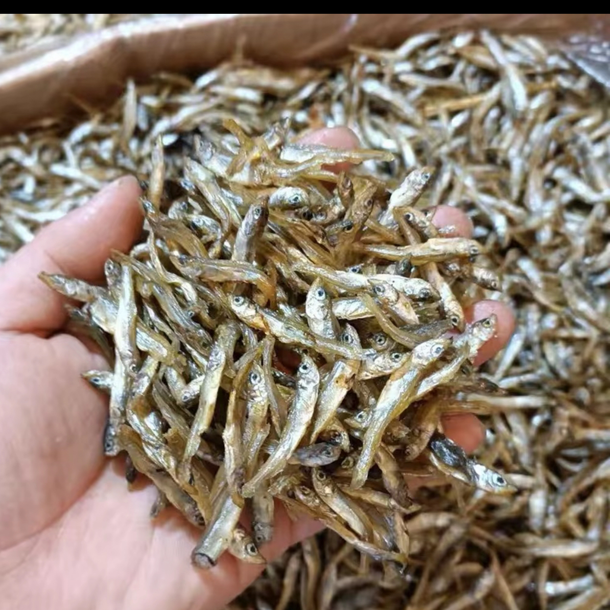 农家自产自千年鱼