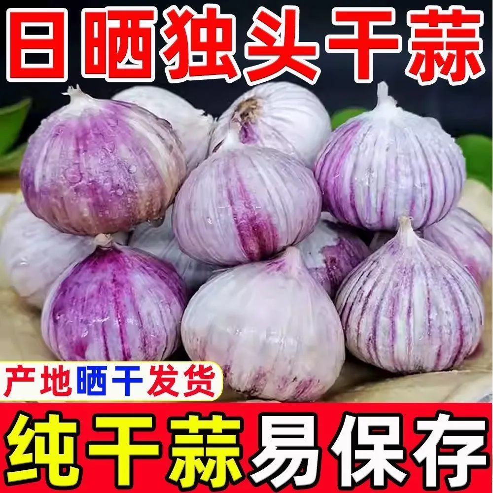 【十足干】2025紫皮独头干蒜新鲜大头蒜红皮农家大蒜头独蒜批发