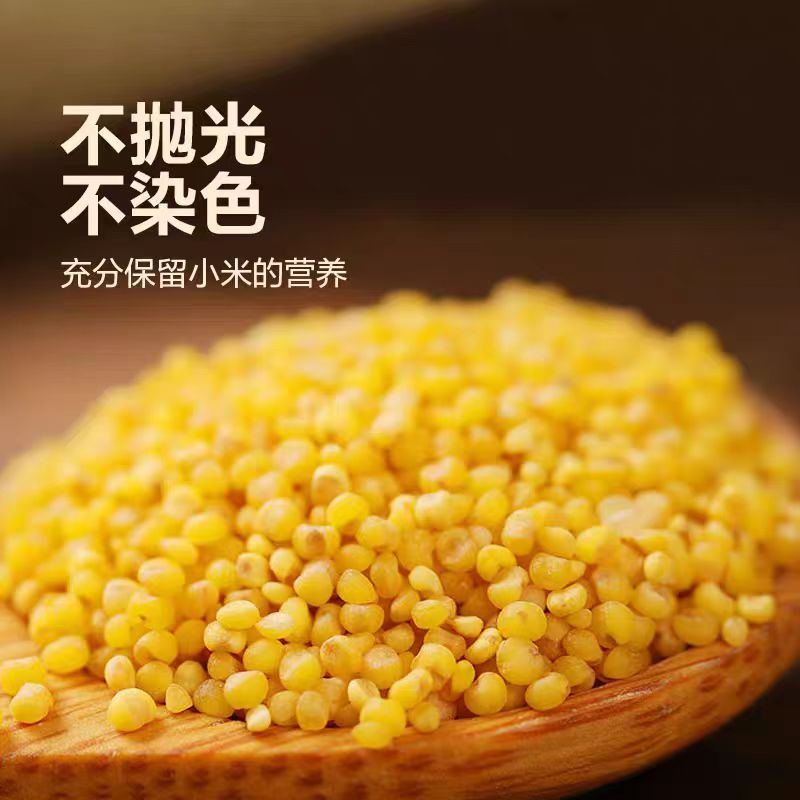 【小米】云南大山农家现收特产煮粥软糯好吃3斤