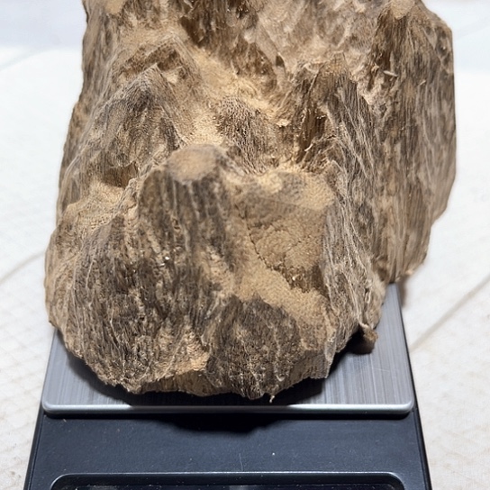 沉香木摆件沉香黄油格69克，清香带甜