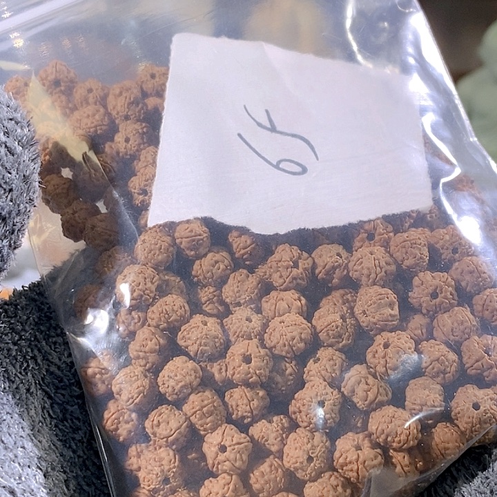 大***吹金刚菩提吊坠龙梅 108