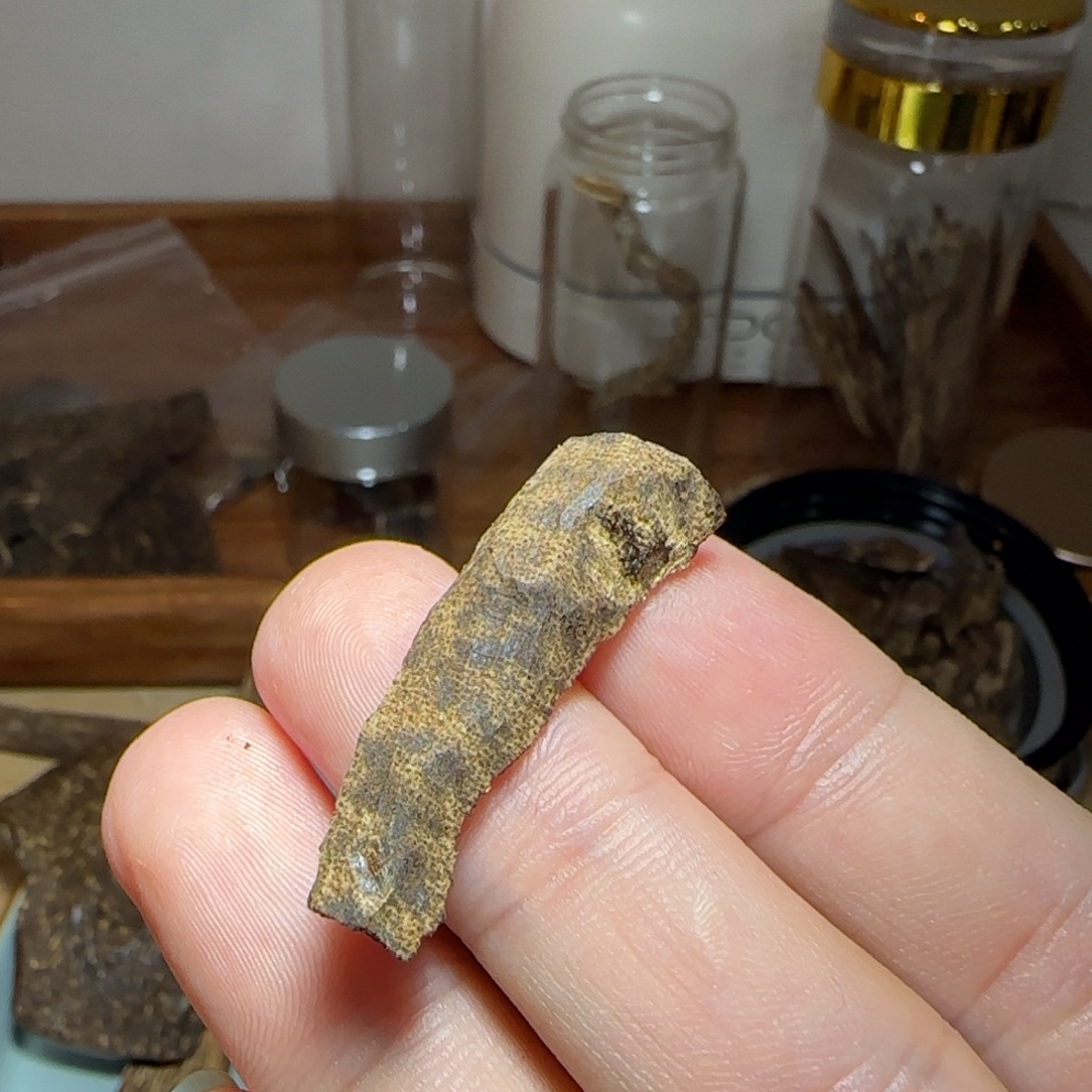 沉香碎屑沉香海南尖峰岭鸡母虫漏标本