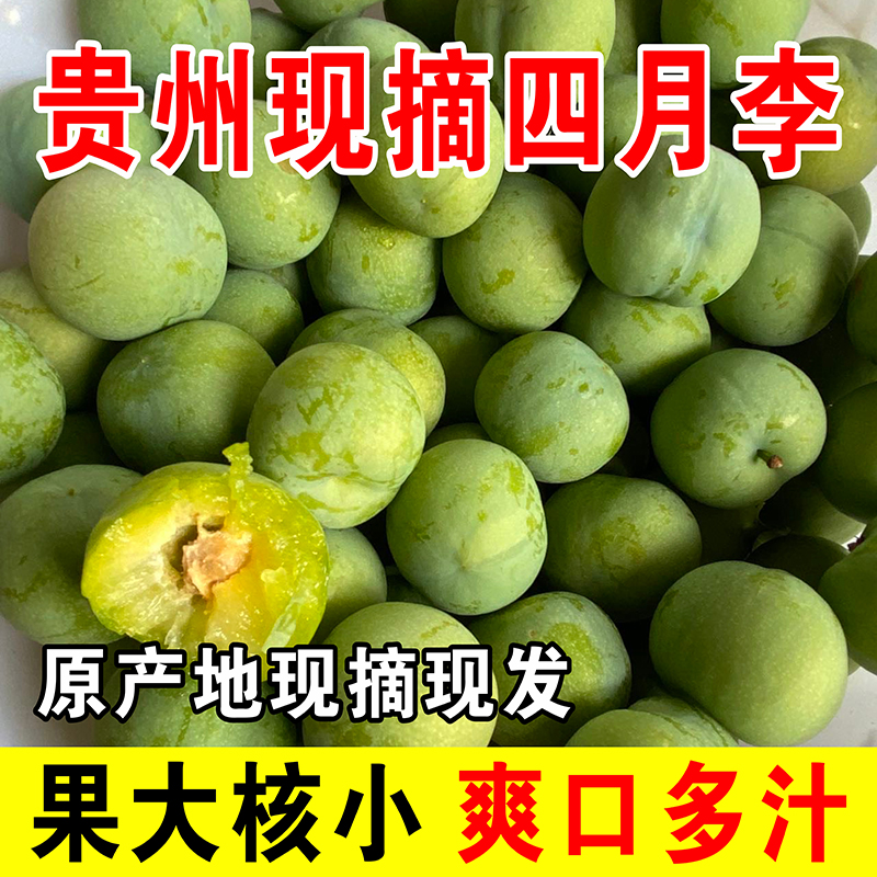 贵州直发四月脱骨李新鲜水果脆甜多汁酸甜爽口李子当季现摘现发