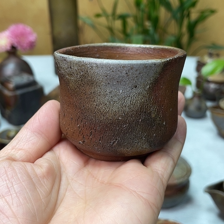 岩本修一的主人杯
