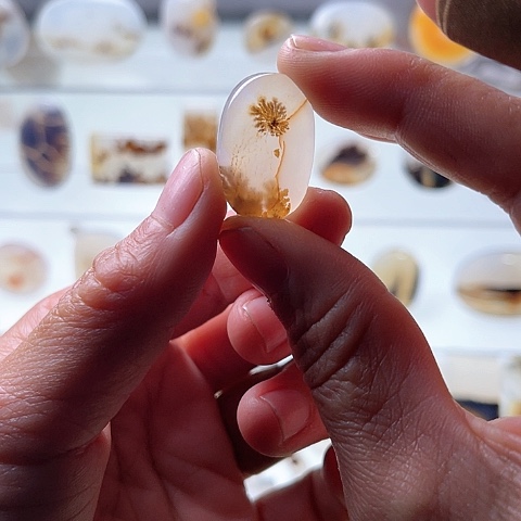 【闪购商品】玛瑙/玉髓珠宝半成品未镶嵌