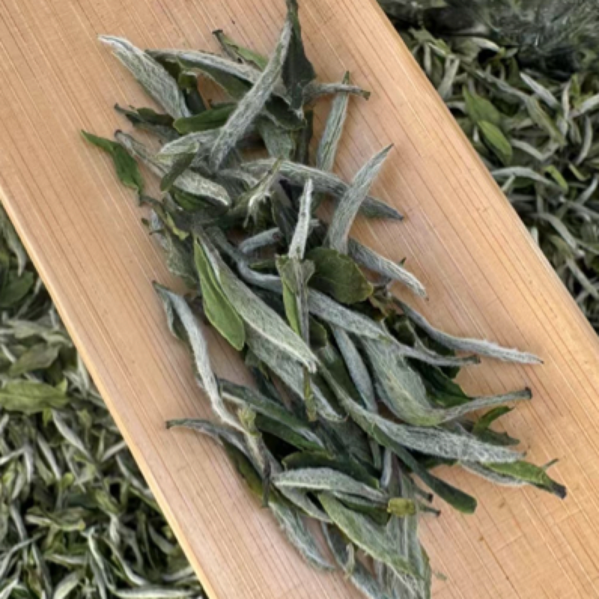 【春喜】浮力福鼎2025年牡丹王头采特级福鼎管阳高山白茶兰香韵