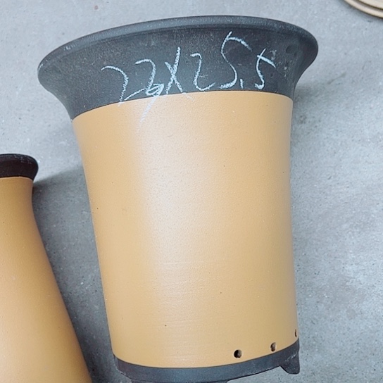 红陶紫砂紫砂紫砂