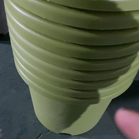 树脂四季5号果绿带托10套微瑕