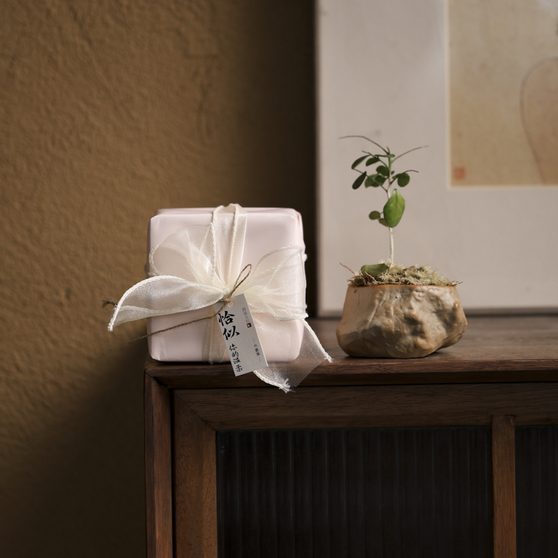 【老黑】恰似你的温柔2015年六堡茶100克（灯灯灯）