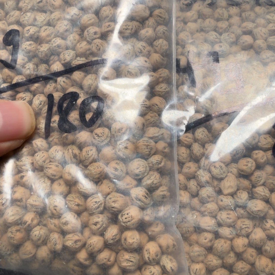 吊坠柏香籽/百香籽蝶*