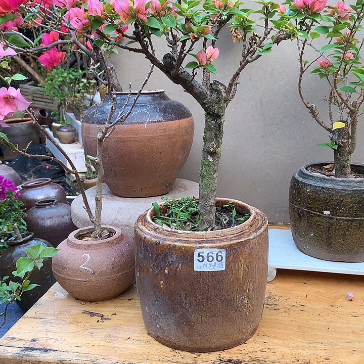 颈饰玻璃郑*霞000566