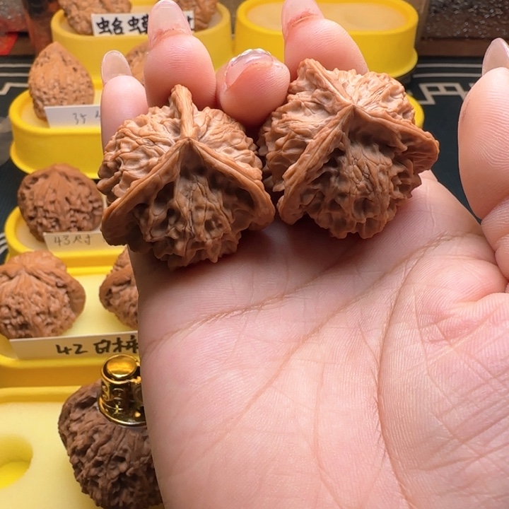 孤*弯弯核桃正奔蹒跚三棱