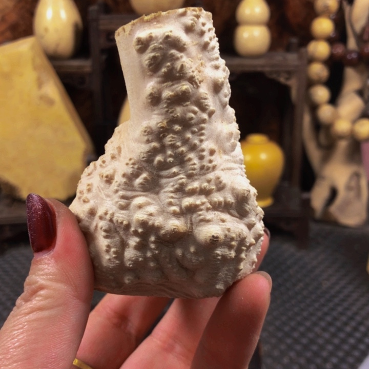 木精**作木料木料木料木料