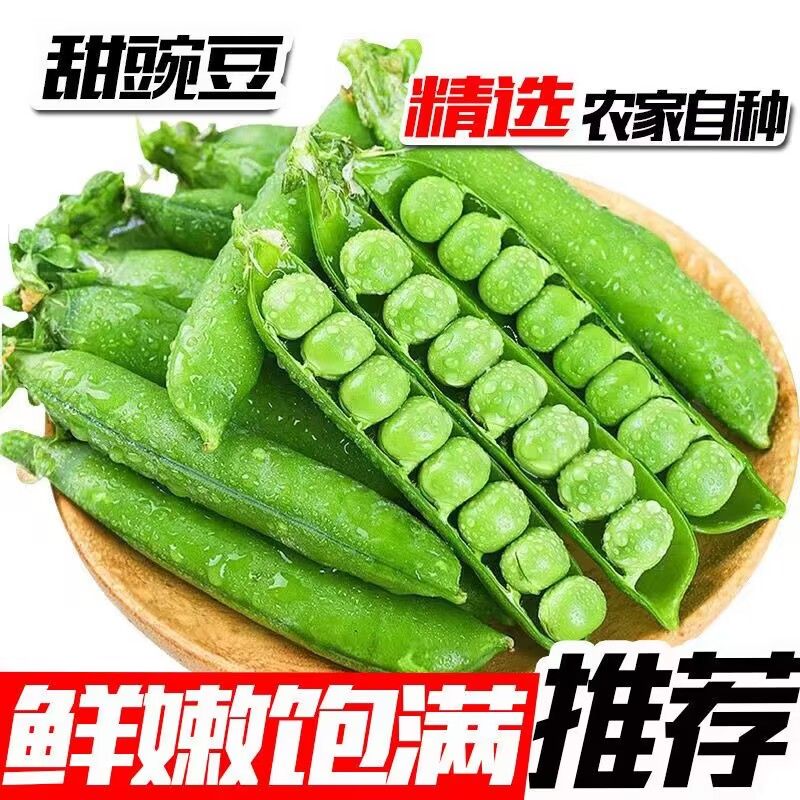 （苗家山货）云南高山水果甜豌豆脆甜软糯农家自家种植现摘现发