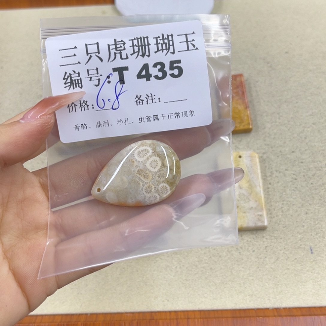 飞***来硅化珊瑚（珊瑚玉）h未镶嵌