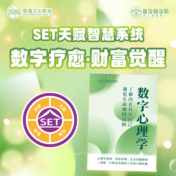 SET天赋智慧系统数字疗愈《高能量.低能量.财富觉醒》