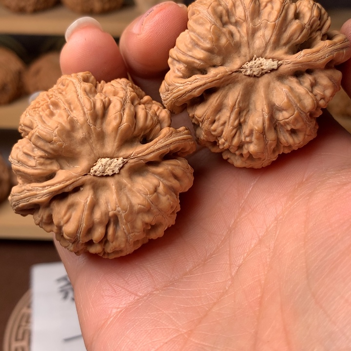 晚****粗筋15公斤以下生产的