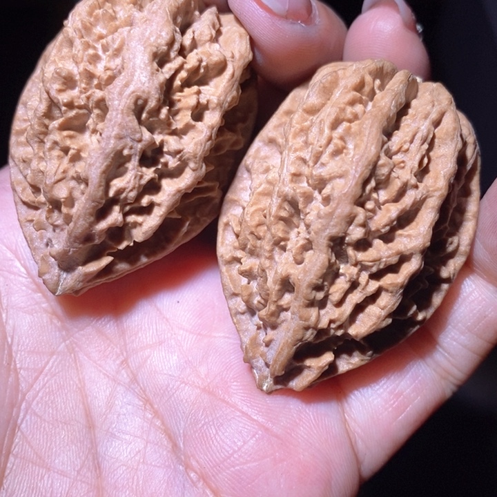 文玩核桃把件东北野生楸子小美197