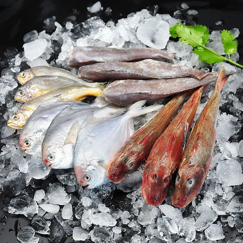 【偏远现称】全国通用现称杂鱼