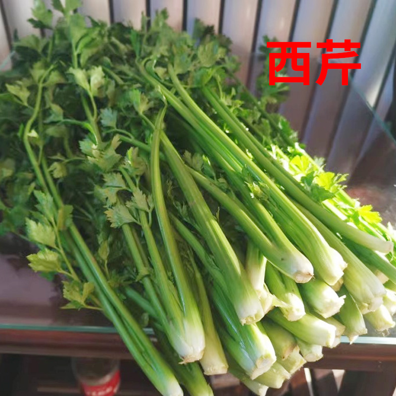 芹始皇新鲜芹菜马家沟芹菜当季西芹实心芹菜凉拌热炒营养丰富