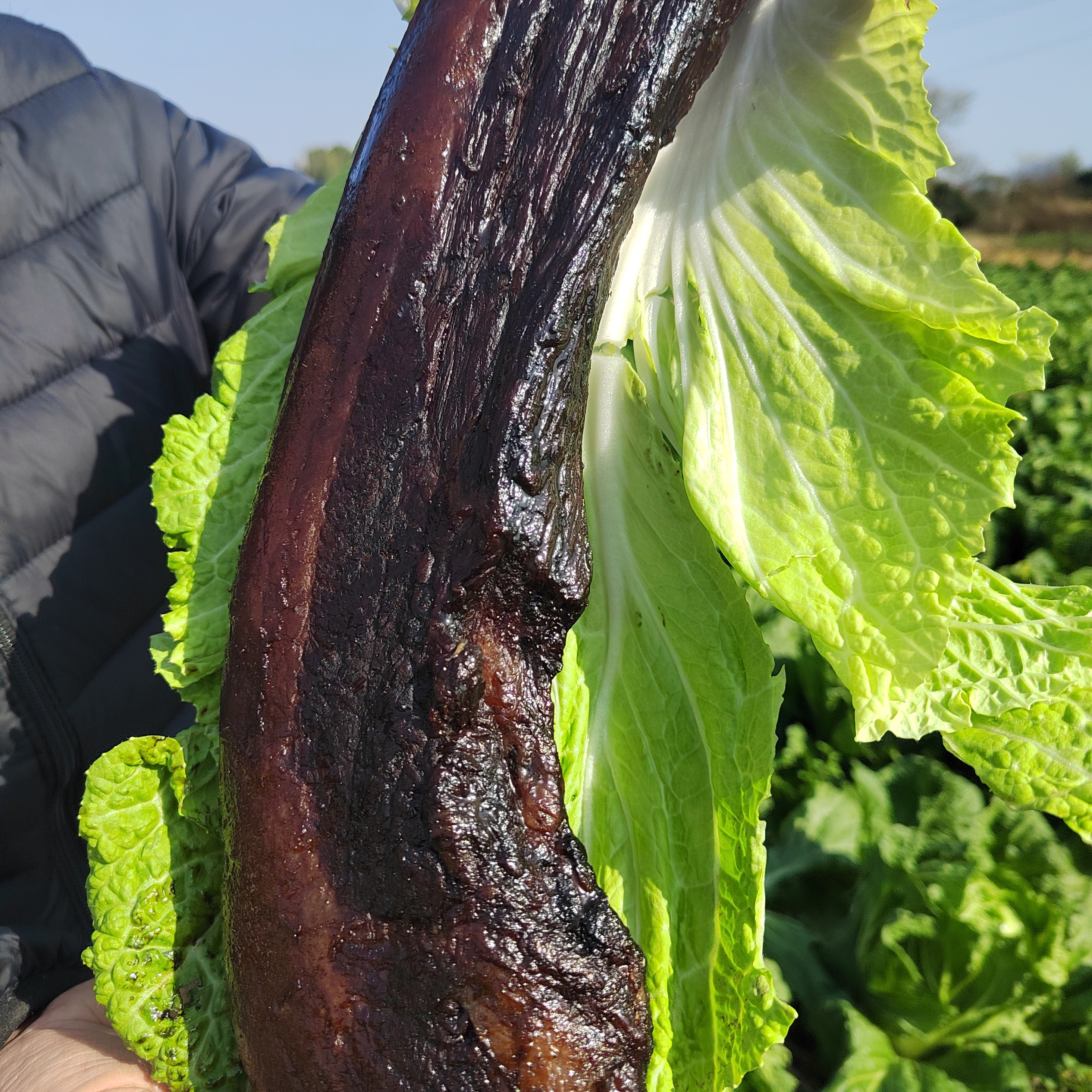 湖南武冈烟熏柴火腊肉腊肠腊鱼腊鸡腊鸭干货