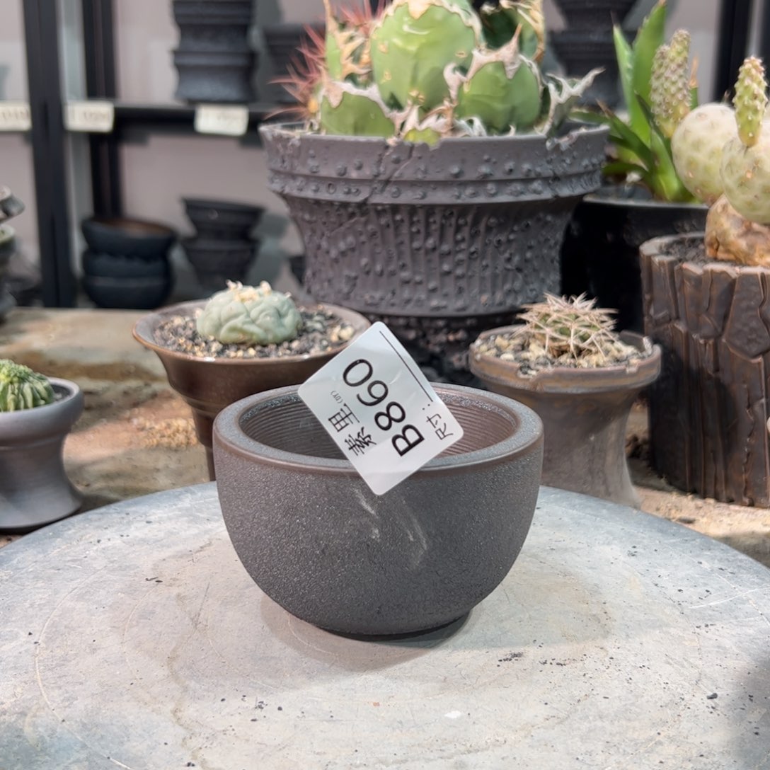 景德镇手工素里内口9高6.5