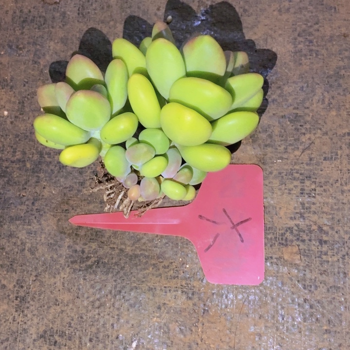 玄***如这个点睡起来都会梦
