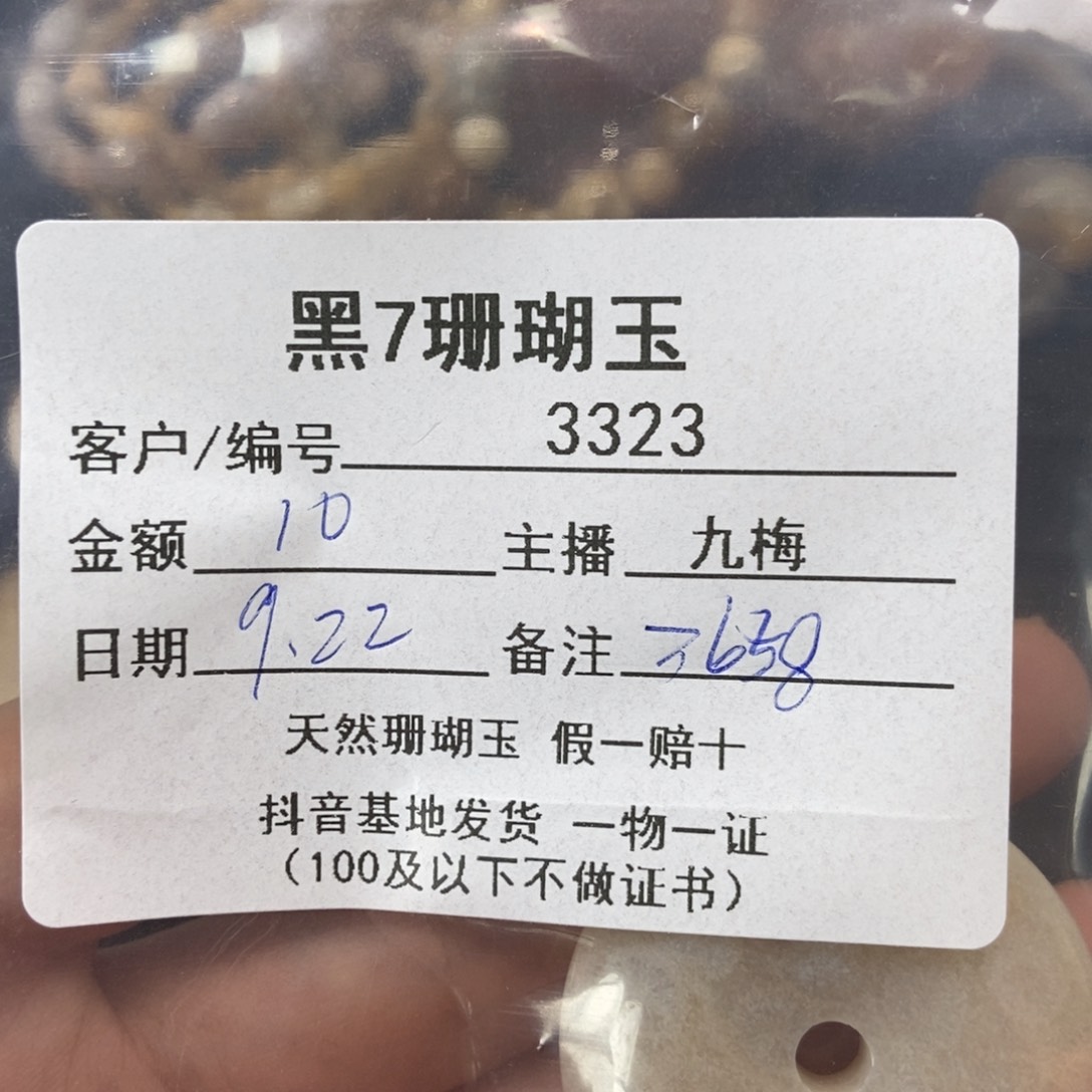 用***8未镶嵌吊坠硅化玉