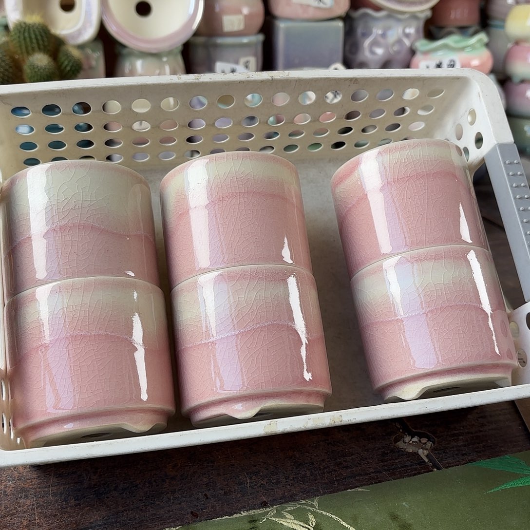 量货/6.5口高6.5深浅搭配发6福利