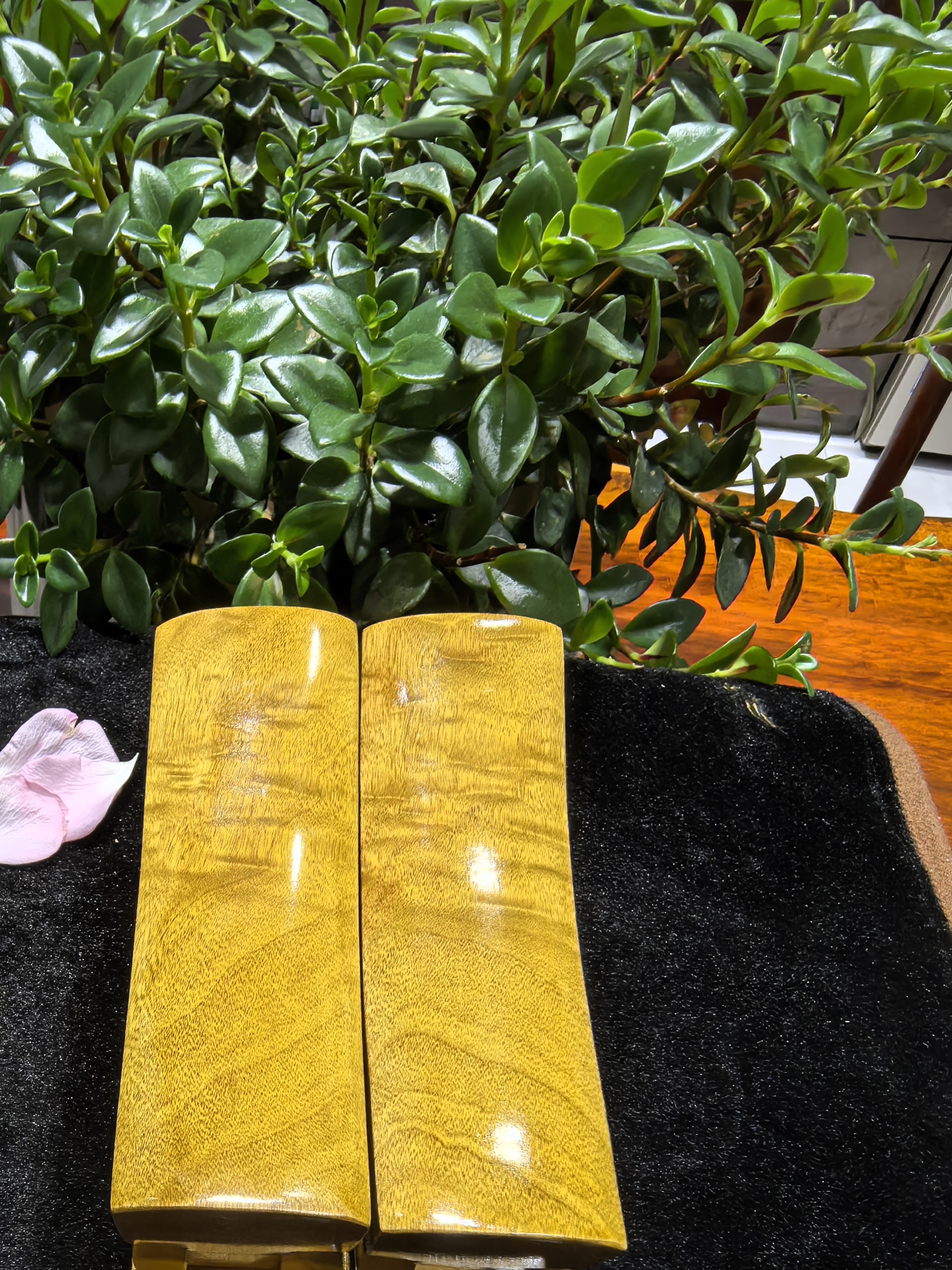 金丝楠升官发财手把件 15厘米