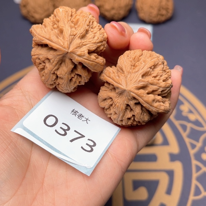 文玩核桃把件40大粗筋 0373