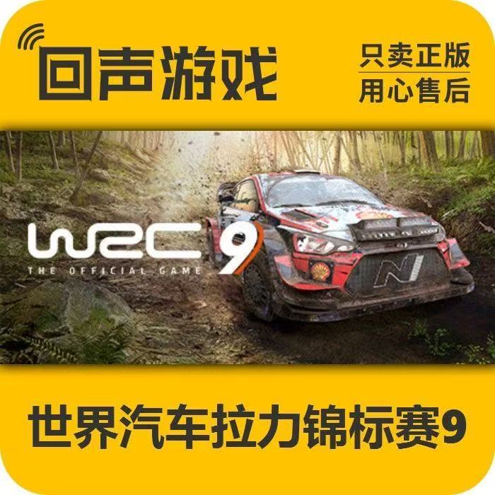 回声游戏世界汽车拉力锦标赛9 正版 国区 steam游戏 电脑 key