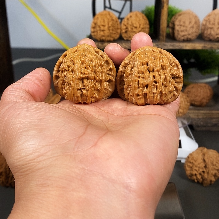 文玩核桃把件角白41尺红皮果骨质好