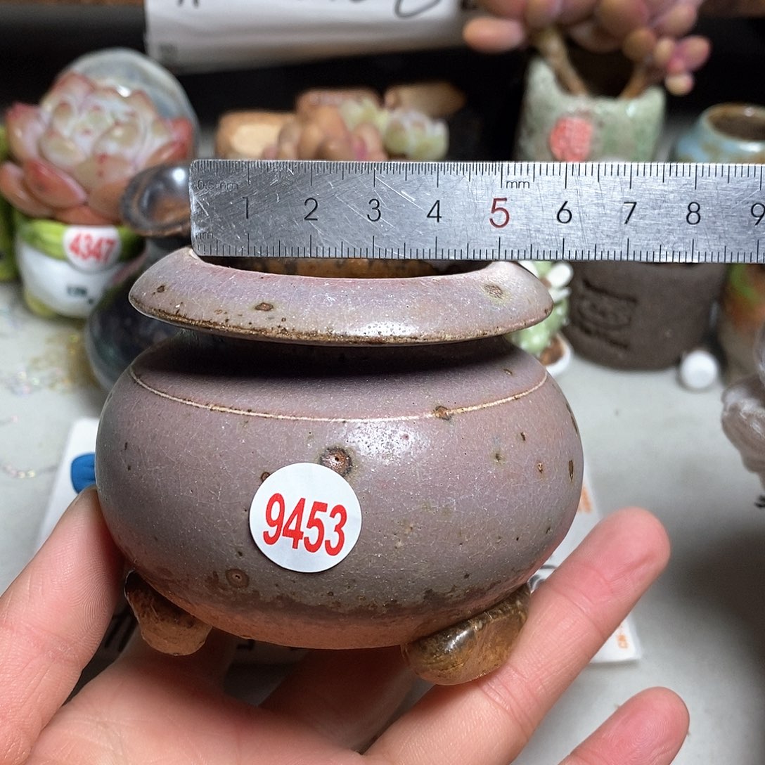 红陶处理的，处理