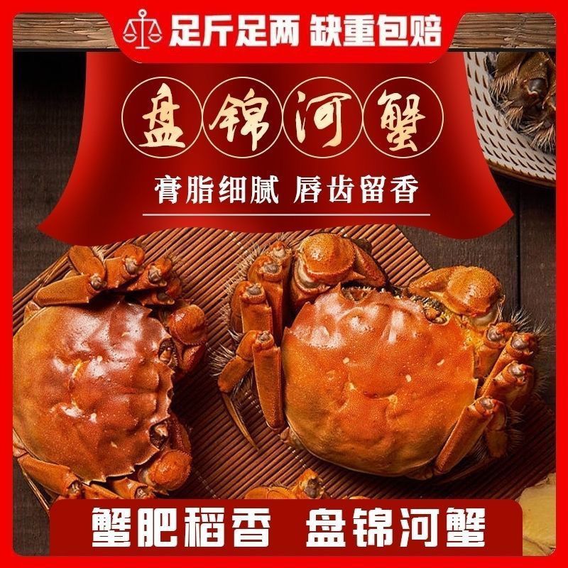 公母【活蟹】盘锦河蟹母蟹1.6-1.3两+公蟹2.-1.7两10只/16只