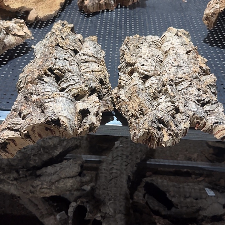 大***哥无花朵一物一拍一物一发