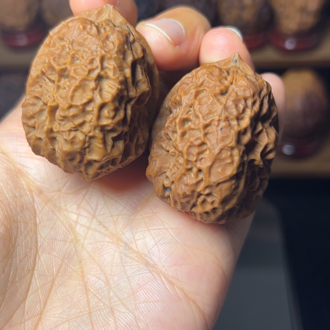 御***锅白泽 44尺 40多克