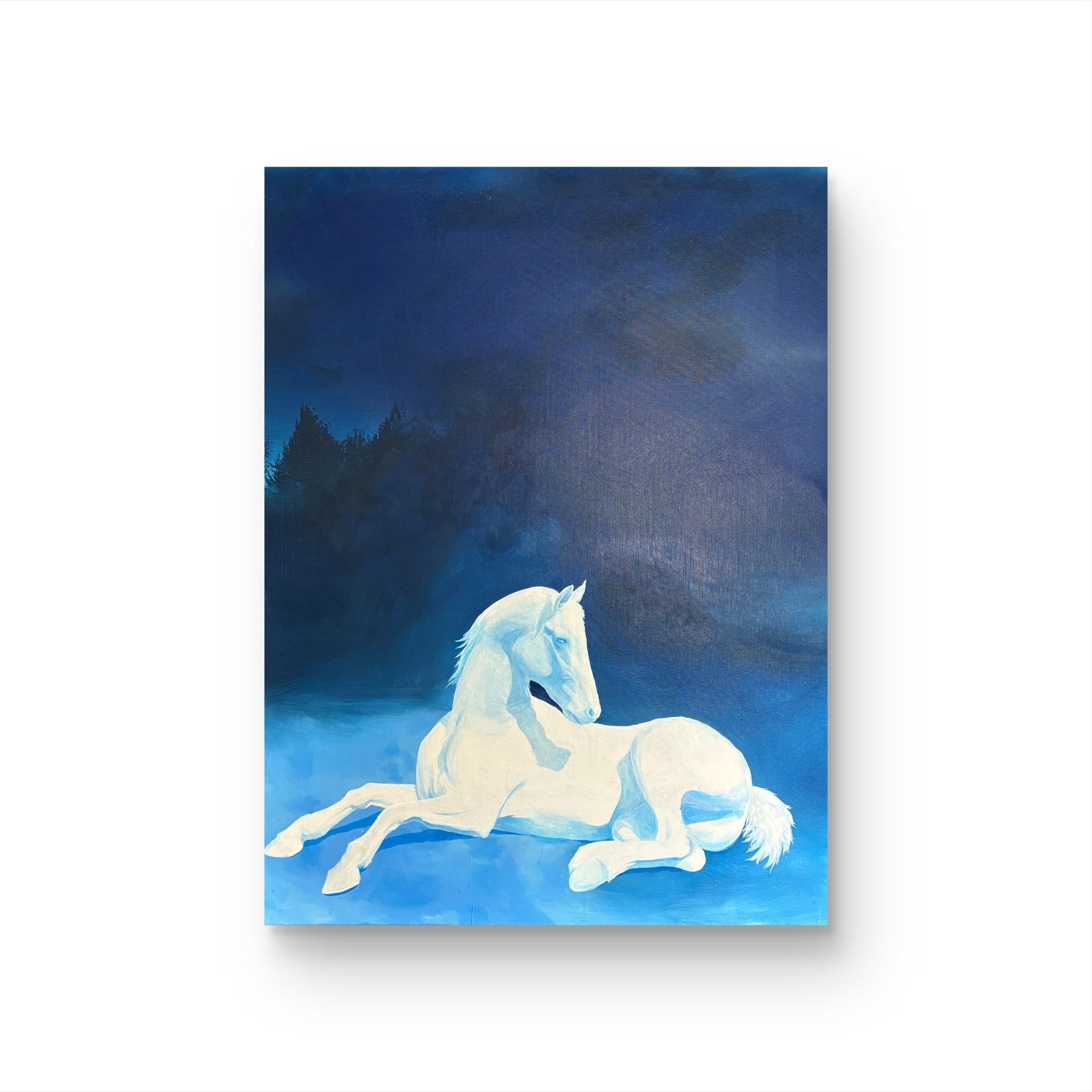 【白影】“90*120” No.1066纯手绘挂画