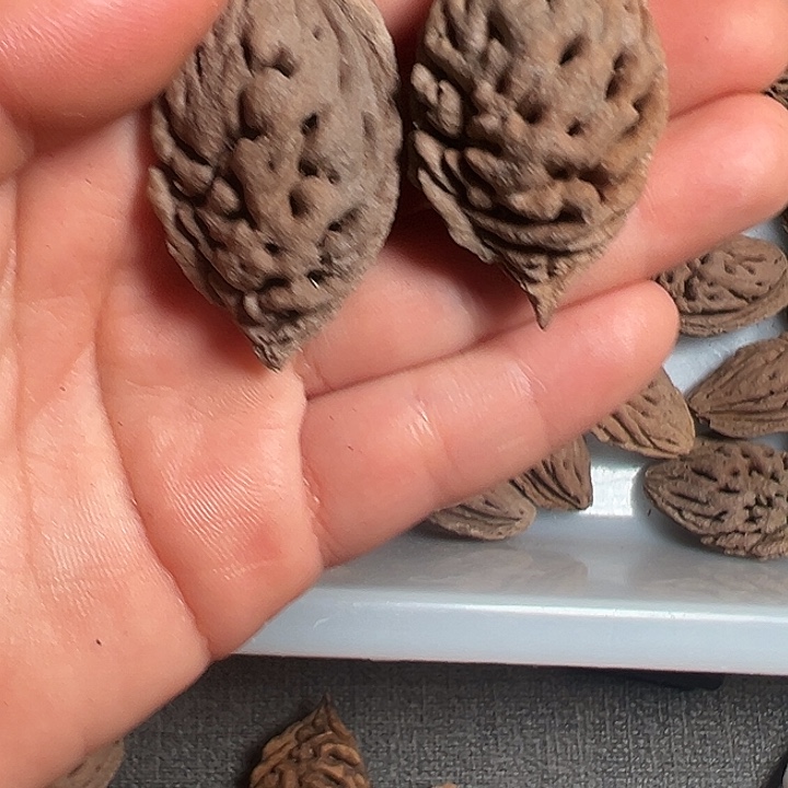 龙***哥桃核手串正宗桃枭单核