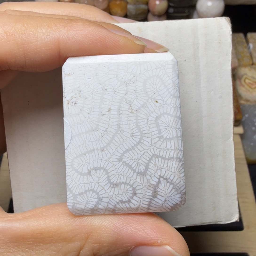 硅化玉未镶嵌月光白 龙骨纹，个别骨骼