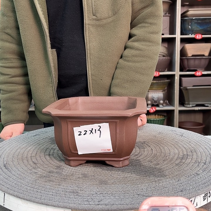 紫砂花盆紫砂的花也太美