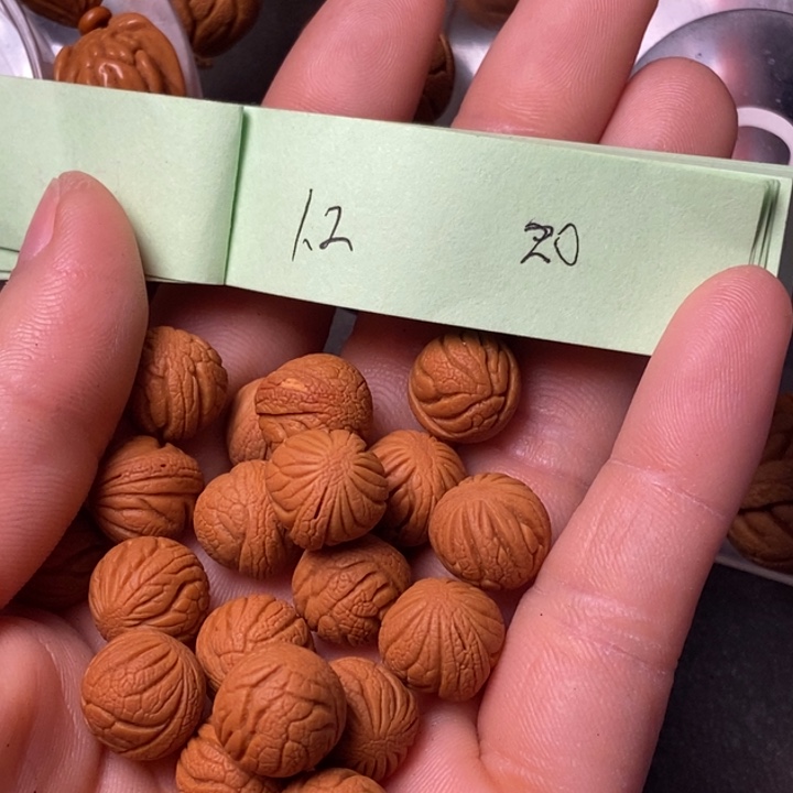 吊坠桃核陕西秦岭山桃核