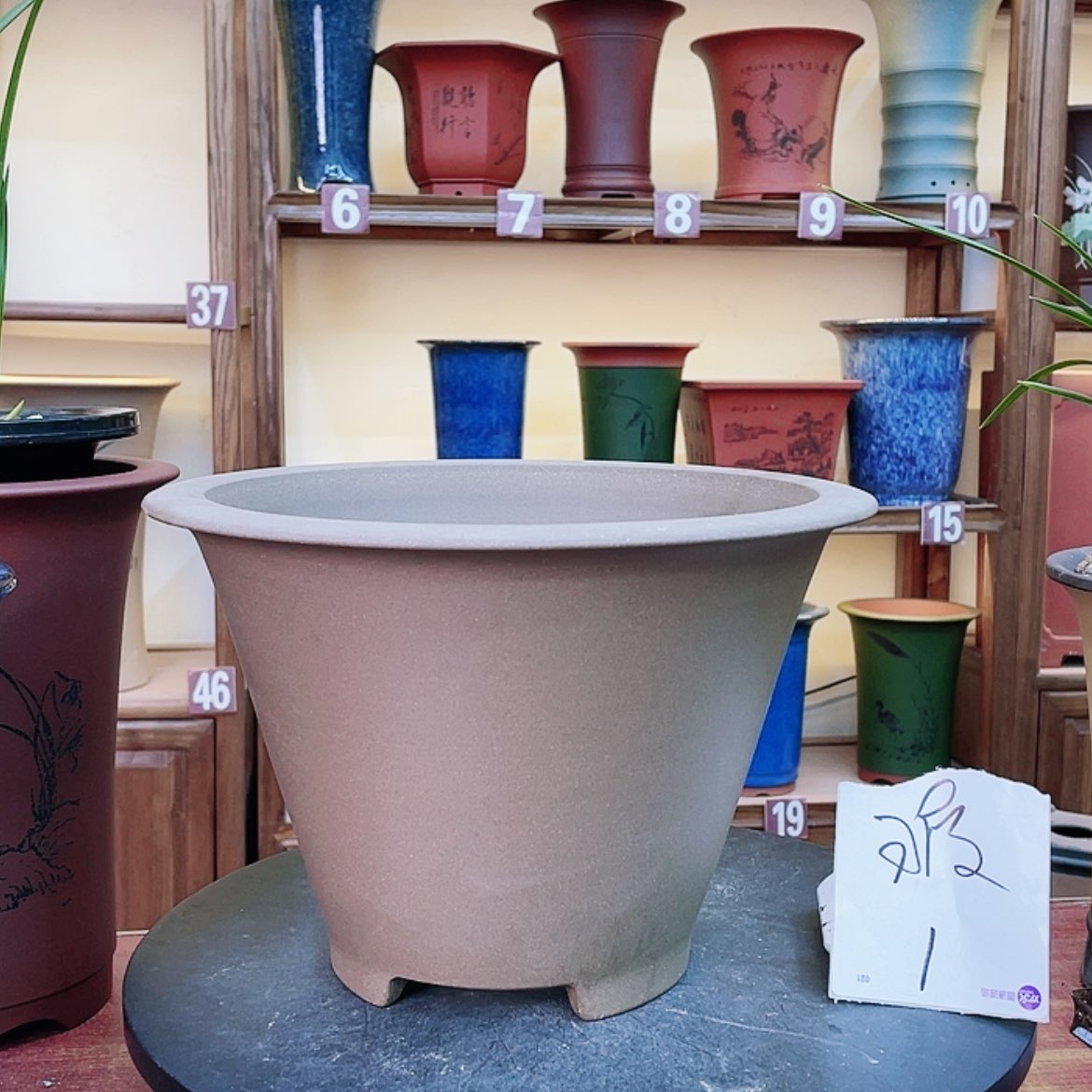 【闪购商品】紫砂花盆兰花458553332898845566