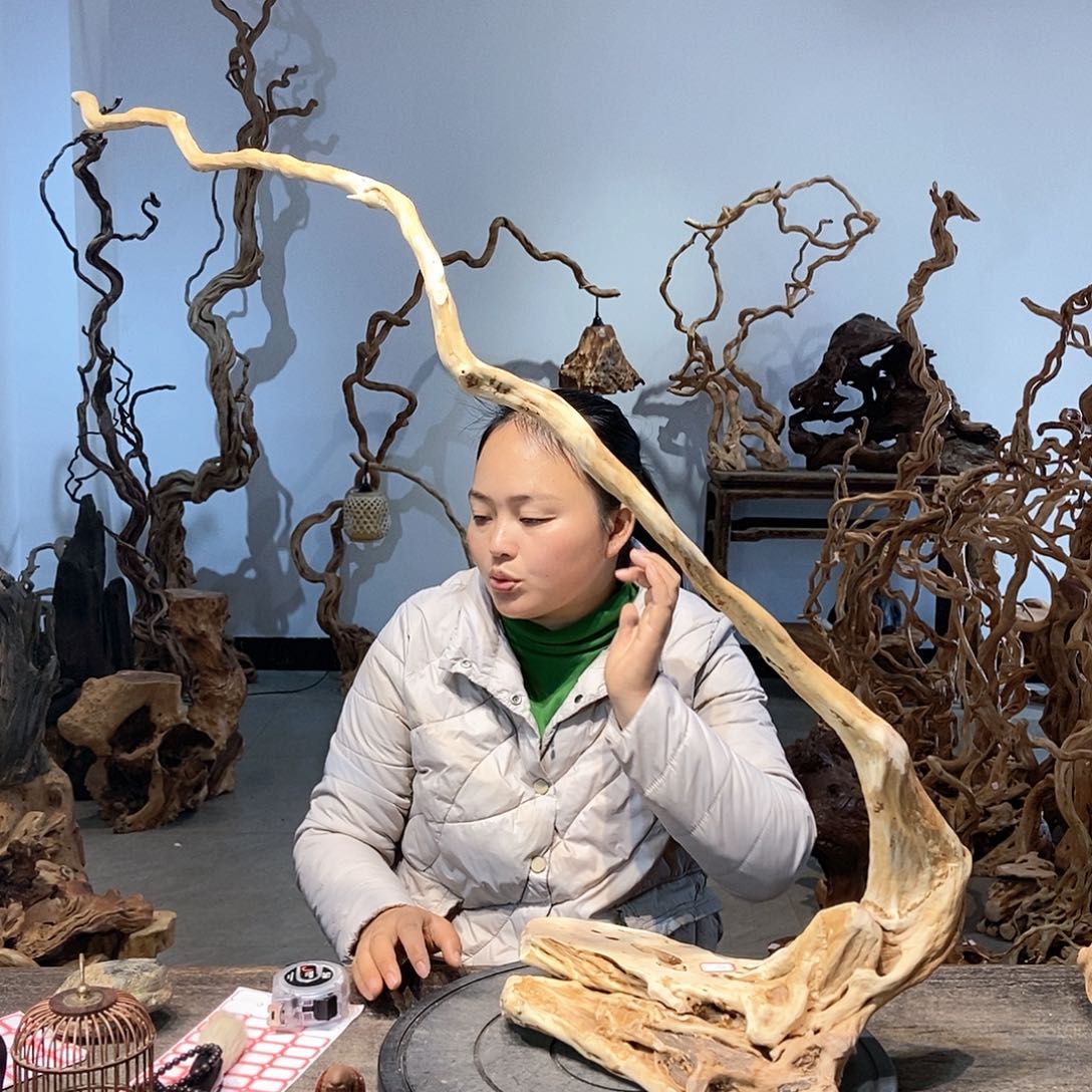 大果紫檀（缅甸花梨）