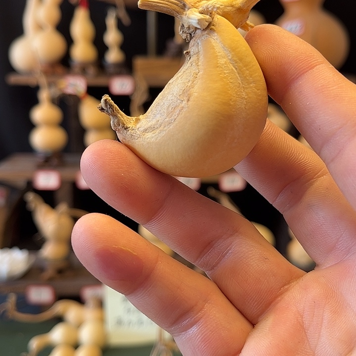 碳****?开开开开开开开开开开开