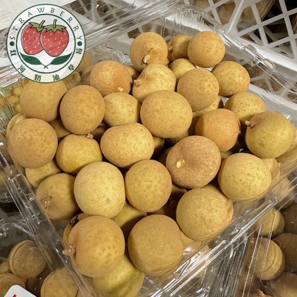 【吃点别的】金果源龙眼单J大果/1kg