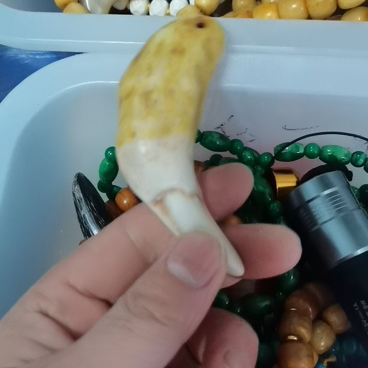 大果紫檀（缅甸花梨）