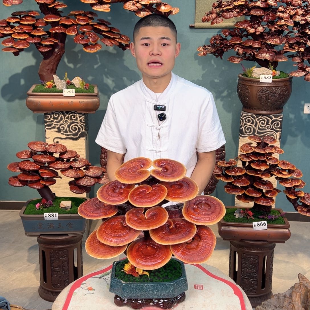 无花朵8888888888888